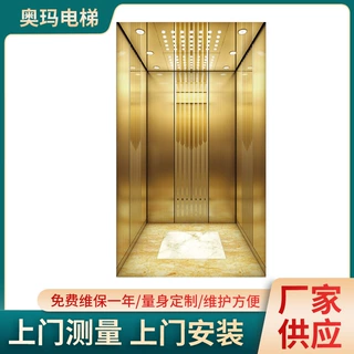 奥玛电梯厂家供应  乘客电梯家用电梯