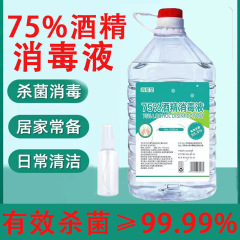 75 ° アルコール消毒剤 2500ML 家庭用皮膚傷無洗浄滅菌および抗菌洗浄 75 度エタノールスプレー