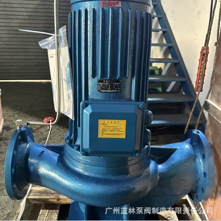 无泄漏管道屏蔽泵 4寸立式屏蔽管道泵 100-200管道屏蔽泵