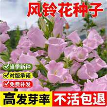 �L⏻��N���L⏲�����ͥԺ���^�����҃��̨�����ļ��׷N���ܷN��