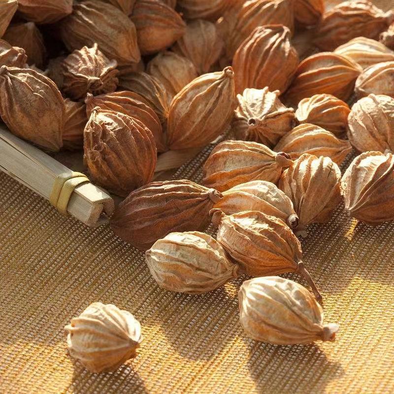 Amomum Fruit Sha Ren 500g Dried Sliced Herb for Braising Hotpot and Stewed Meat Cooking specifications