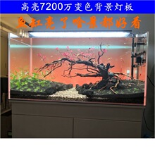 ����¿�����������~�ױ�������ݸ��֙C���ƶ��r�l���