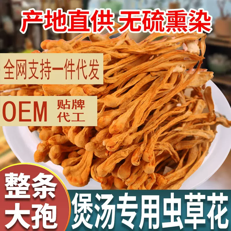云南正品虫草花干货官方菇从煲汤旗舰店干菌菇材料金商用蛹非特级