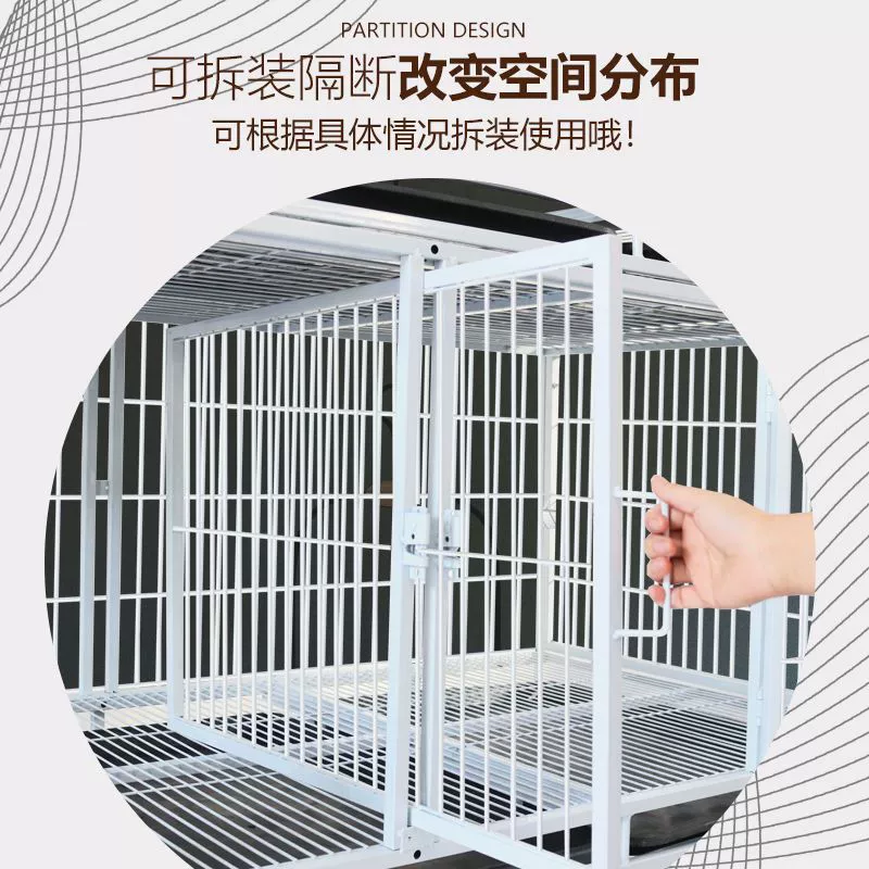 Клеточная клетка клеточная клеточная клеточная клеточная клеточная клеточная клеточная клетка?