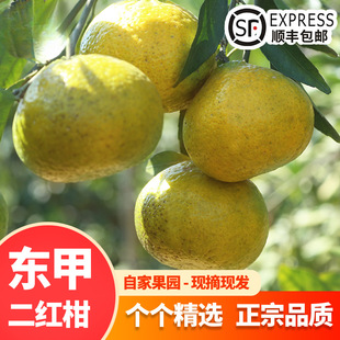 �r����t����֦�̸����r�tƤ�|���Ƥ��Ȧ֦Ƥ����ƤƤ������