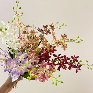 �����f���m �����m ���m�Ҿӿ͏d�ҕ���[���廨 �Ӱ巿�bٻ�