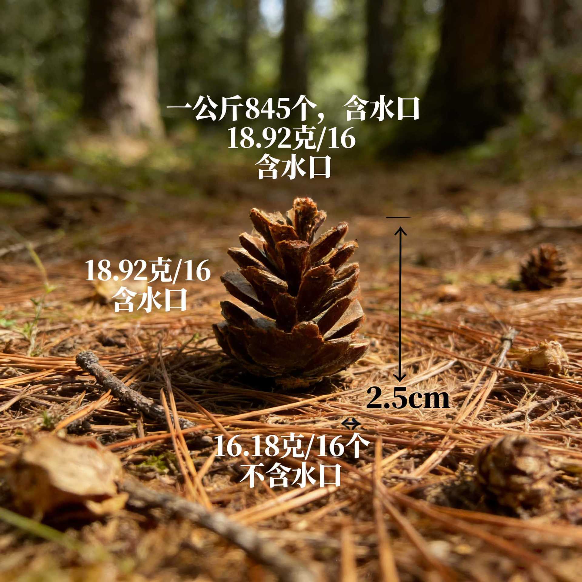 现货秒发圣诞装饰塑胶松果圣诞装饰道具礼品撒粉植毛松果松塔挂件