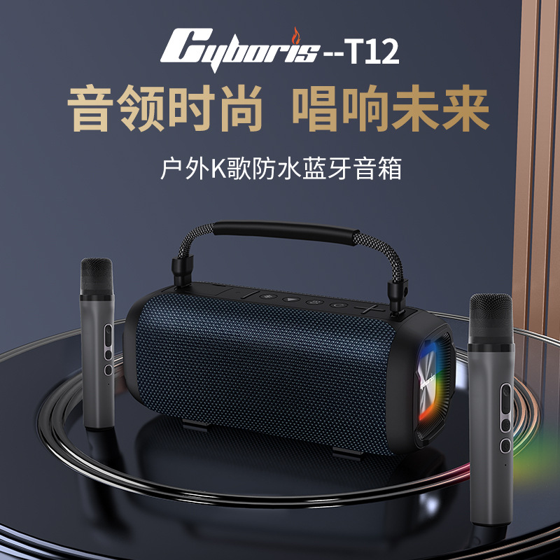 Saiboris T12 2023 nuevo 80W al aire libre karaoke Bluetooth altavoz RGB colorido luminoso impermeable subwoofer