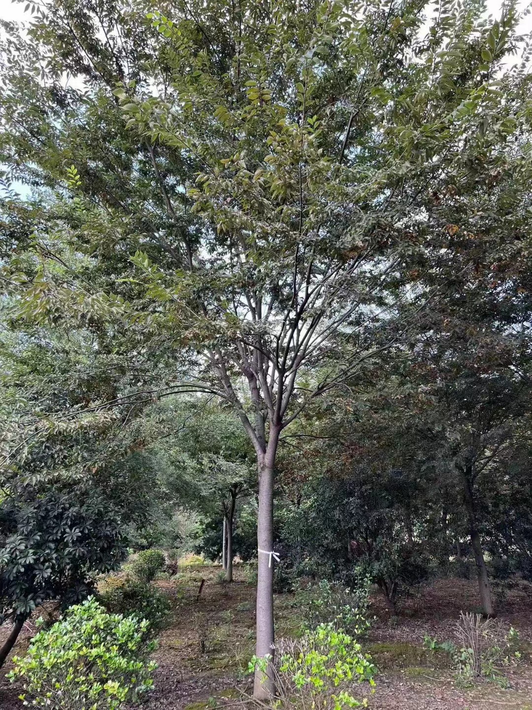 微信图片_20231009155634