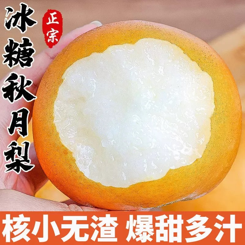 山东莱阳秋月梨大果当季梨子新鲜水果对接电商直播