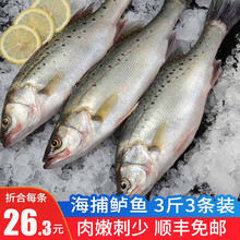 �O����~�����|�~ 3�� 3�l ����Ǻ��|�~���|�~ ����ʳ��