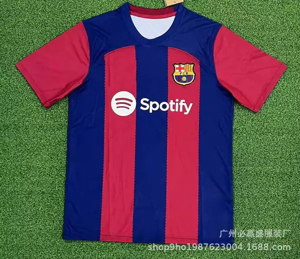 Barcelona home 24