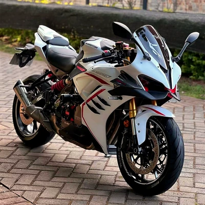 Motosikletlər water-cooled, Race 450 two-cylinder water-cooled