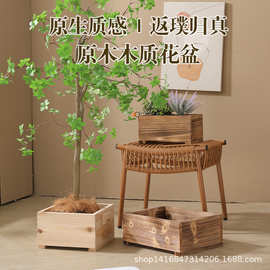 杉木花盆木质盆景养护盆栽复壮保湿透气阳台种植外庭院碳化木箱