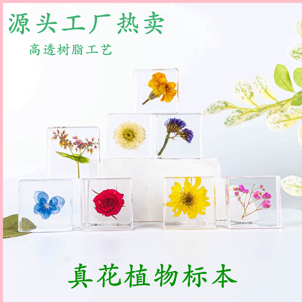 New Year Gifts for Children, Early Education Toys, Gift Ornaments, Handmade Lucky Clover, Rose Flower Plant, Crystal Specimen