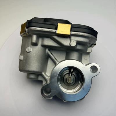 T32 Teana Altima L34 – Drossel