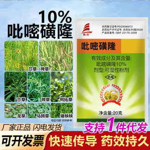 10%���׻�¡���݄��޲�ɯ����~�s��ˮ����ֱ����ˮ�����ó��݄�