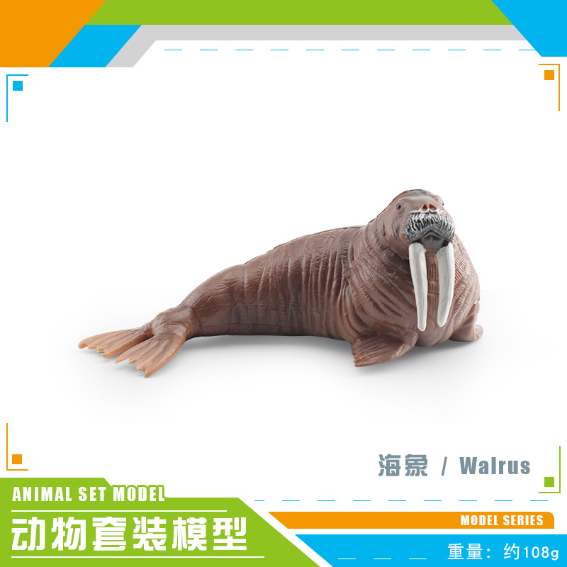 Transfronterizo simulación animal marino modelo dragón mágico gran tiburón blanco morsa nariz afilada ballena submarino biológico estático decoración juguete