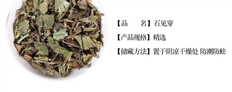 Shi Jian Chuan Dried Herb 500g Salvia chinensis Whole Plant Traditional TCM Herbal Decoction Ingredient overview
