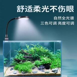 Small fish tank clip lamp led mini usb plug color changing dimming lighting highlight aquarium water plant lamp fill light transparent