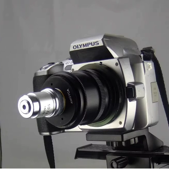 Микроскопическая камера для макросъемки RMS, подключенная к телеобъекто-камеру Micro-SLR/объективе Brawei для фильтра резьбы 37/82M