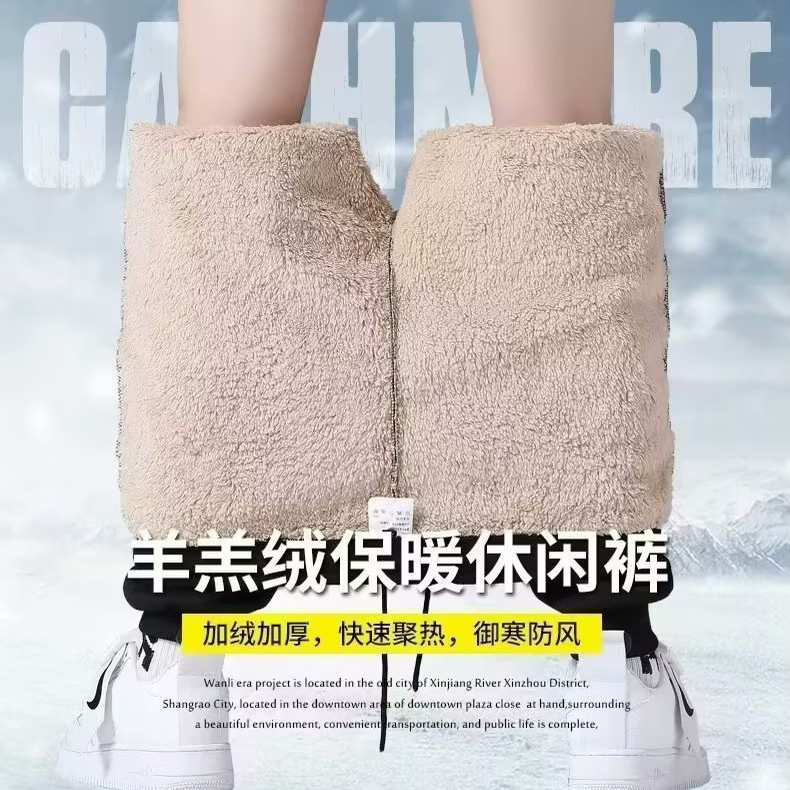 工厂现货羊羔绒加厚男休闲运动裤加绒防寒保暖束脚裤冬季外贸男装