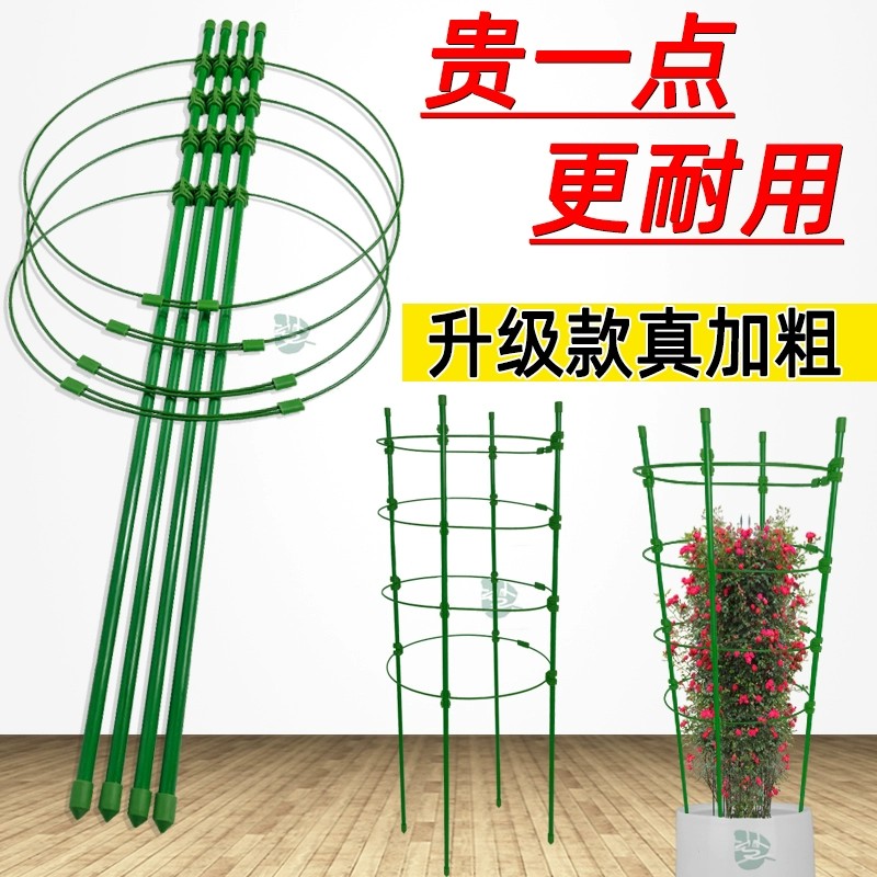 Potted money tree Blossom Flower Shelf climbing vine support fixed…