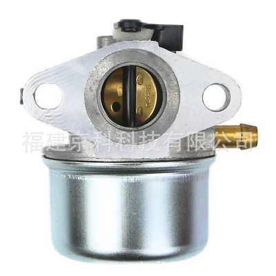 799868 Is Suitable Carburetor