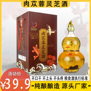 �ž�� ��ɐ���`֥��3��b42��52�Ȱ׾������ݾ�ɢ�����l������