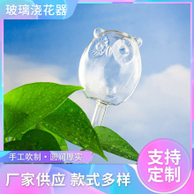 猫头鹰玻璃浇花器 家用绿植盆栽卡通造型自动浇花器