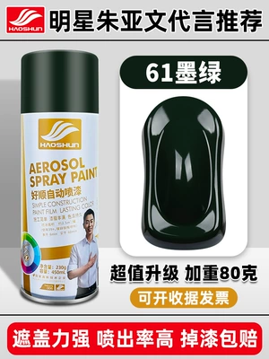 Metal Anti-rust Paint Wall — Avtomobil boya qələmləri - 61dark-green