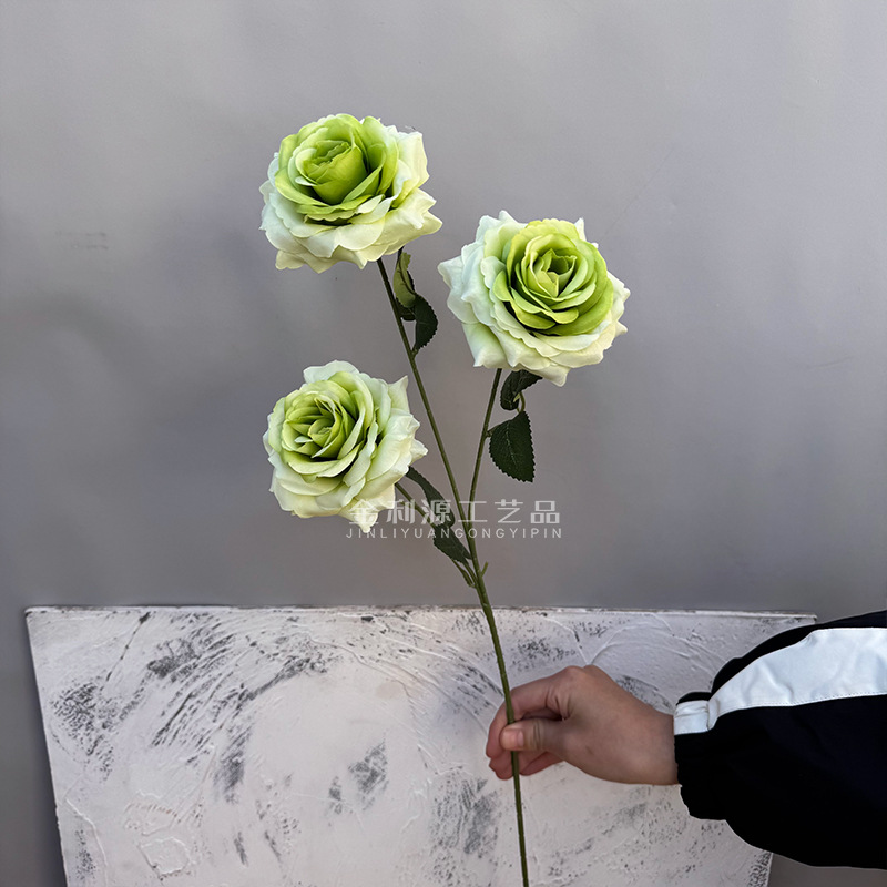 Real object without green leaves 3-head lover rose green