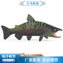 ��ͯ�J֪���挍�Ĵ��R���~���V�_��~����~�����������ģ�͔[��