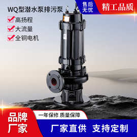 WQ型潜水排污泵 无堵塞化粪池污水泵 地下室集水坑用泥浆搅匀水泵