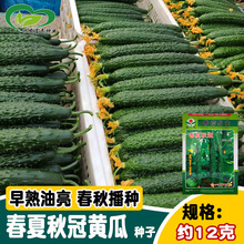 SϷN ˈ@s촺GȿˬLGS