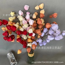 2022�����ݹ� ���\����c���������b�·���廨�ٻ���ˇ �S��ֱ�N