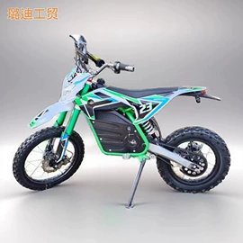 沙滩车;其他摩托车