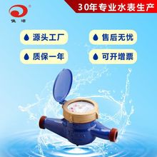 DN20����ʽ��ˮ��3/4&ldquo;�F����ʽˮ��6�ּ��ù�������ˮ�ع�ˮˮ��