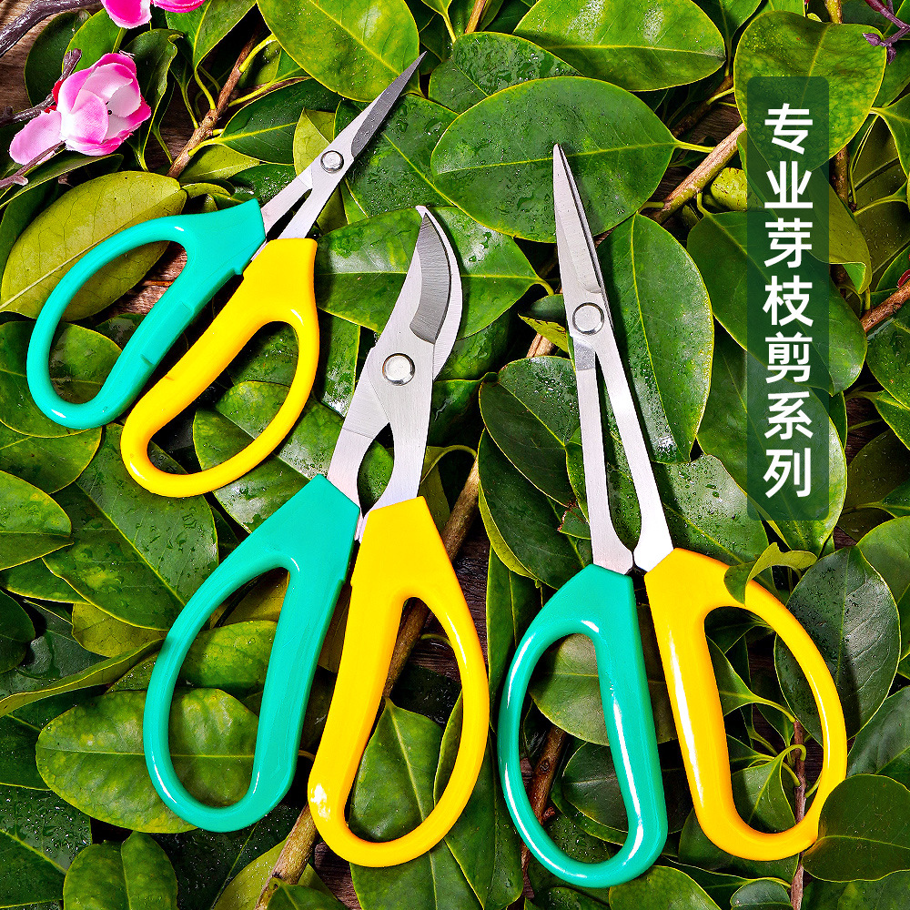 葡萄修果剪加长采茶嫩芽剪疏果剪 盆栽果枝剪刀剪园艺弯头剪
