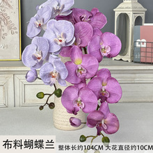 ���Ϻ����m���滨�Y�鲼�û鷿���ߺ����m�ٻ����P�[�������m�ٻ�