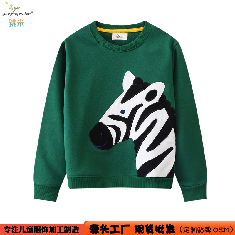 Sweatshirt for boys