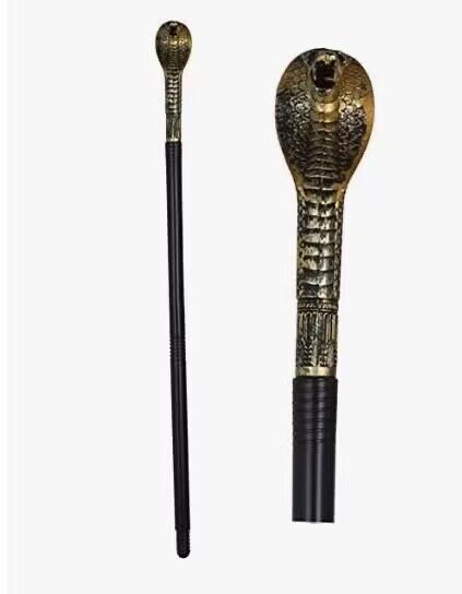 QQ图片20240219143938