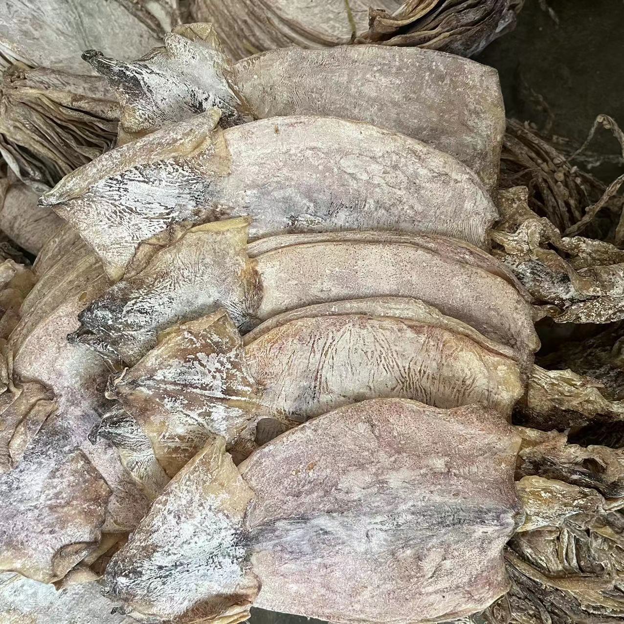 微信圖片_20220701153609