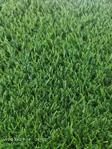 20mm High -quality Spring Grass [Quality Conservation]