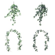 ���泣���ٱڒ��c���Tֲ�ﱳ���������b��ٗl������c����