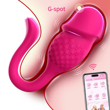 ���S���lAPP�h���b������Ů������������w���^��������������
