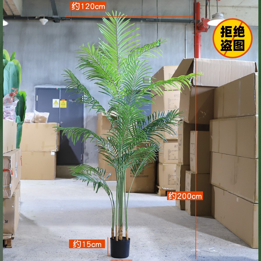 Sanwei Kui 200cm (select pictures)