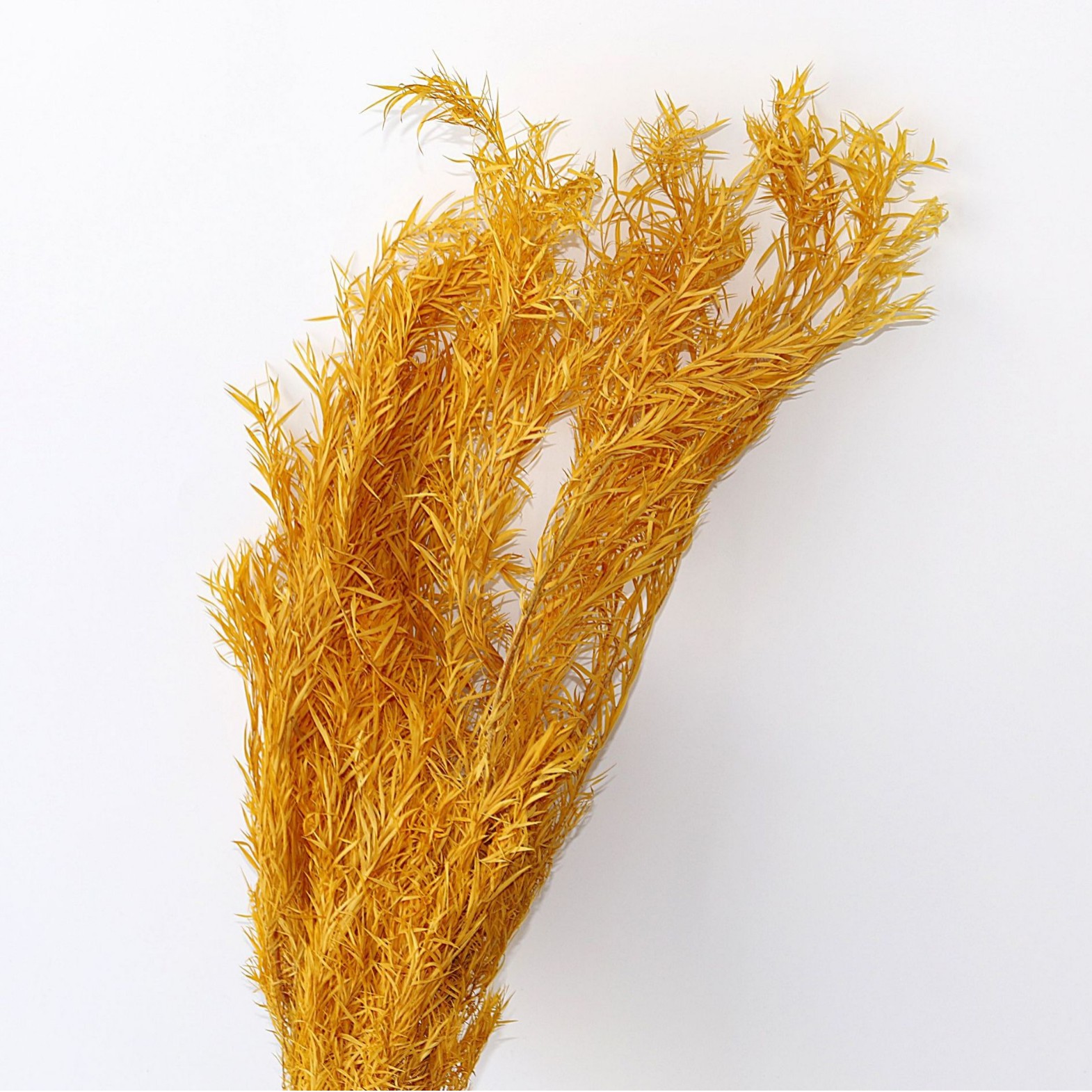 Amarillo