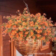 �＾����ֲ��7���ȼ�������Сɏ���軨���Ͻ��X�~�ٻ�ˮ���b�