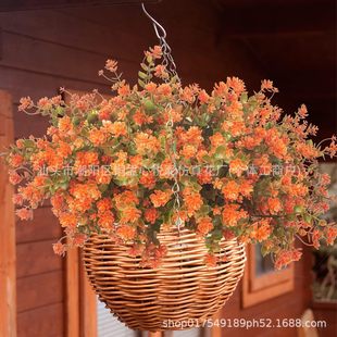 �＾����ֲ��7���ȼ�������Сɏ���軨���Ͻ��X�~�ٻ�ˮ���b�
